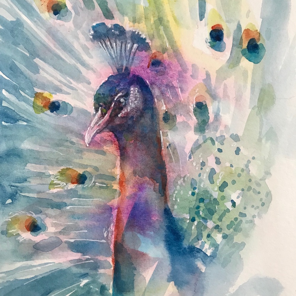 ⭕️ SOLD ⭕️ Original painting peacock Wildlife art - Picture 1 of 8